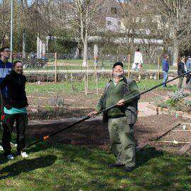 Fröhliche Menschen mit Werkzeug beim Baumschnittkurs im Interkulturellen Garten, sie schauen zu den Ästen des Baumes hoch