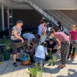 Im praktischen Teil des Workshops haben wir alle die mitgebrachten Balkonkästen bepflanzt