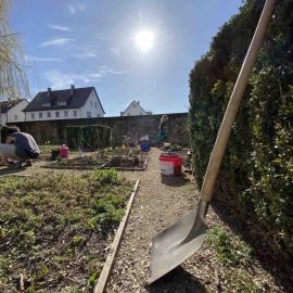 Bei frühlingshaftem Wetter pflanzen wir von der Initiative Essbare Stadt Beeren in das Ess-Gärtle