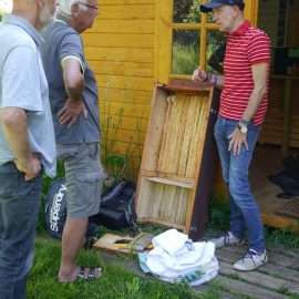 Einige Aktive der Essbaren Stadt planen das Einlogieren des Bienenschwarms in eine Bienenkiste