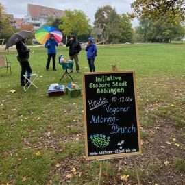 Nicht zum ersten Mal treffen sich Menschen aus Böblingen zum veganen Mitbring-Brunch - trotz kühler Temperaturen und Nieselregen