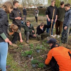 Wir haben ein neues Konzept des Squarefoot Gardening ausprobiert, bei dem die einzelnen Beete in fußgroße Quadrate eingeteilt und dann entsprechend bepflanzt werden