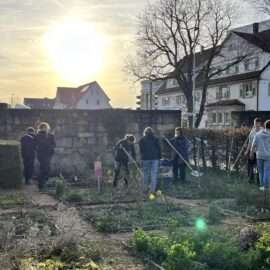 Im März 2024 waren über 20 FÖJ'ler bei uns zu Besuch, haben etwas über die Ziele und Aktionen unserer Essbaren Stadt Böblingen erfahren und uns geholfen, unser EssGärtle für die Gartensaison vorzubereiten