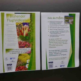 Blühender Flugfeldkreisel auf dem Flugfeld: Ein Plakat wirbt für die gemeinsame Aktion im Oktober 2021