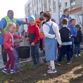 Besonders viel Spaß haben die vielen Kinder beim Säen des regionalen und insektenfreundlichen Saatguts