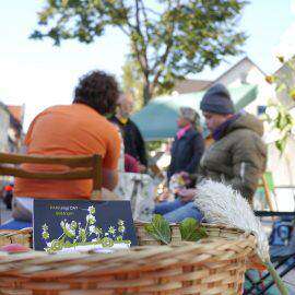 beim PARK(ing) DAY sitzen die Aktivisten entspannt auf einem umgestalteten Parkplatz, im Vordergrund ein Obstkorb mit einer Postkarte zum PARK(ing) DAY