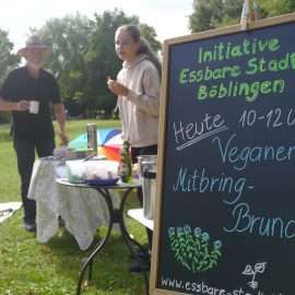 Gemütliches Zusammensein beim veganen treVpunkt: bei mirgebrachten Getränken und Speisen genießen wir den Samstag im Park in Böblingen